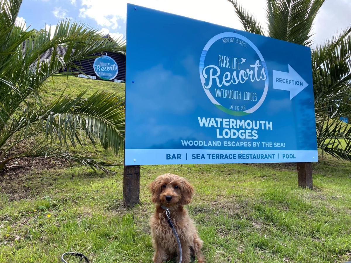 Watermouth Lodges Ilfracombe Exterior foto